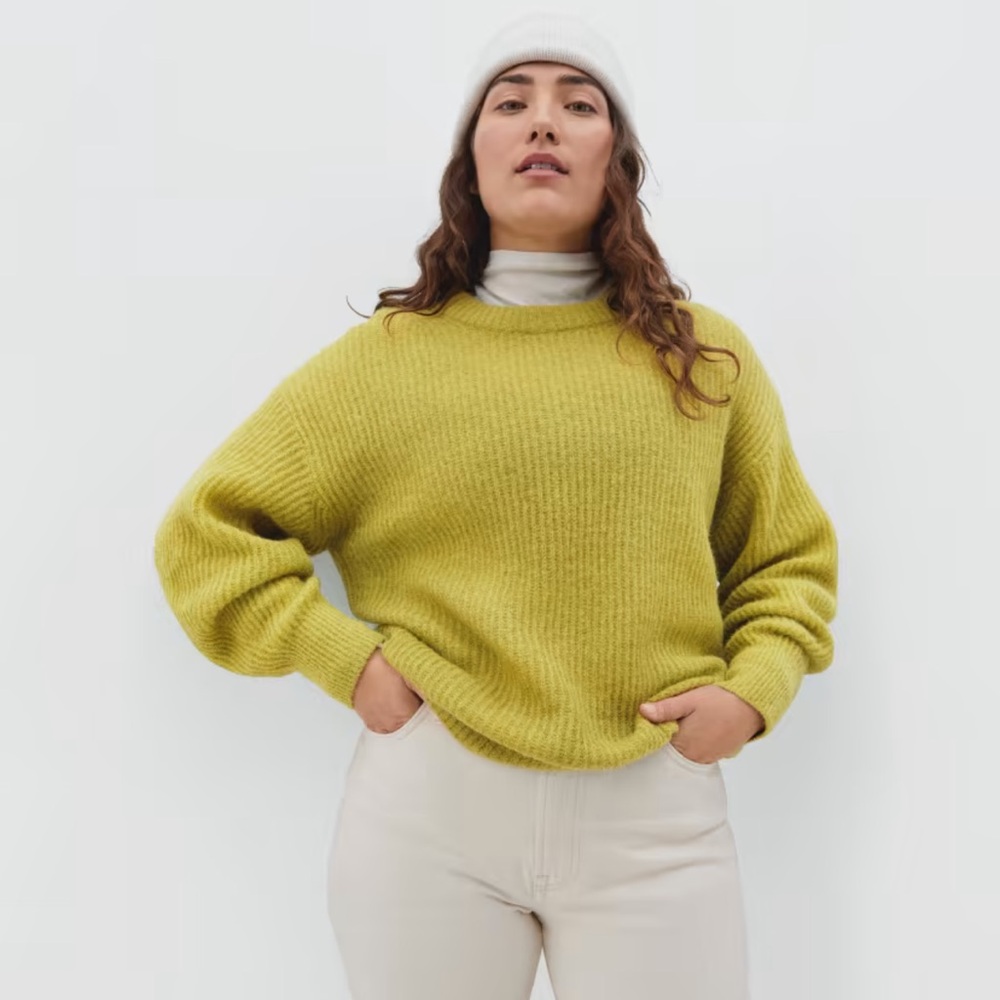 Everlane The Alpaca Crew